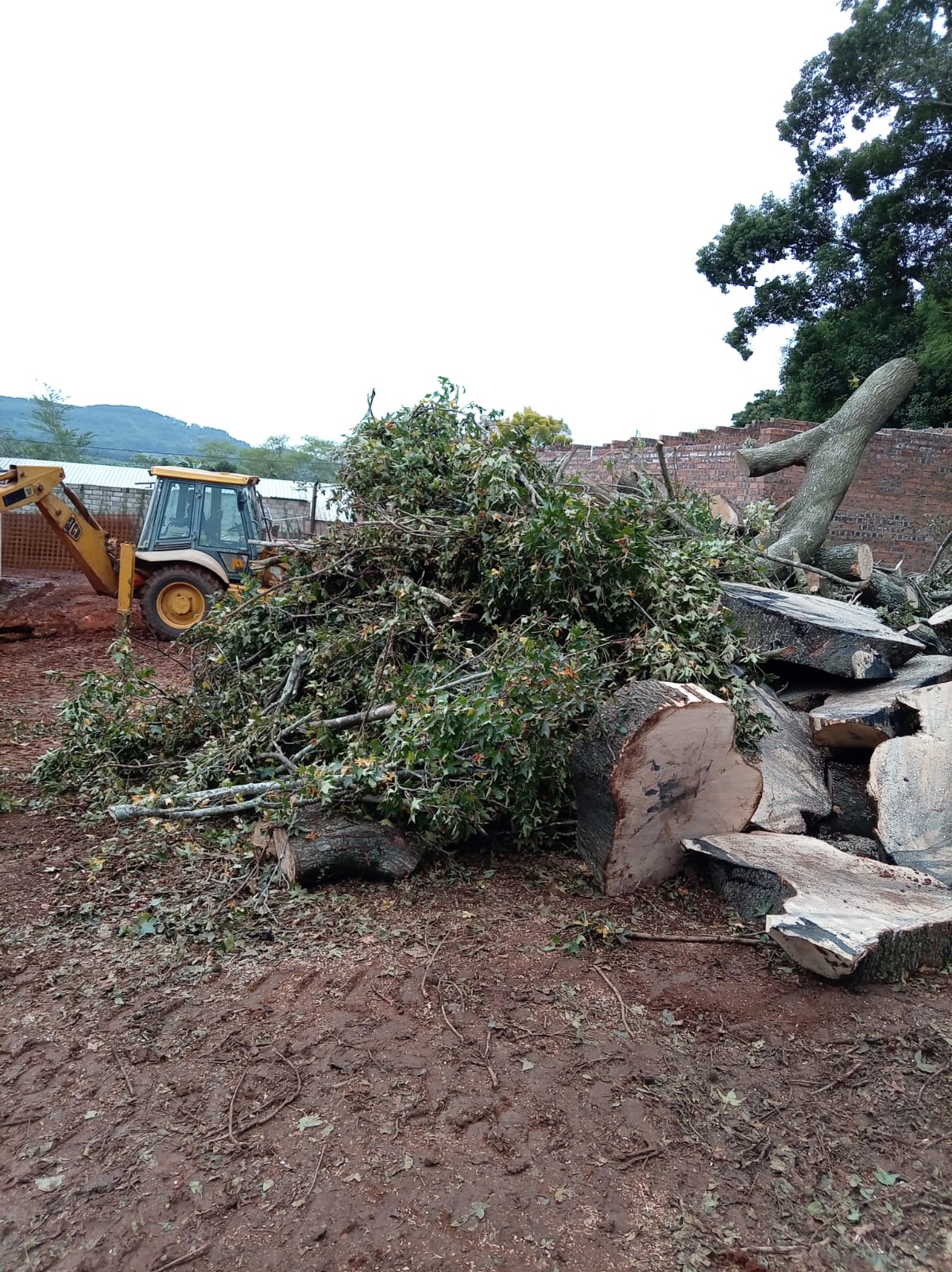 Farm Clearance